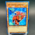 NM - Yu-Gi-Oh! - The Fabled Cerburrel 1st Edition SDSA-EN017 - Structure Deck: Sacred Beasts