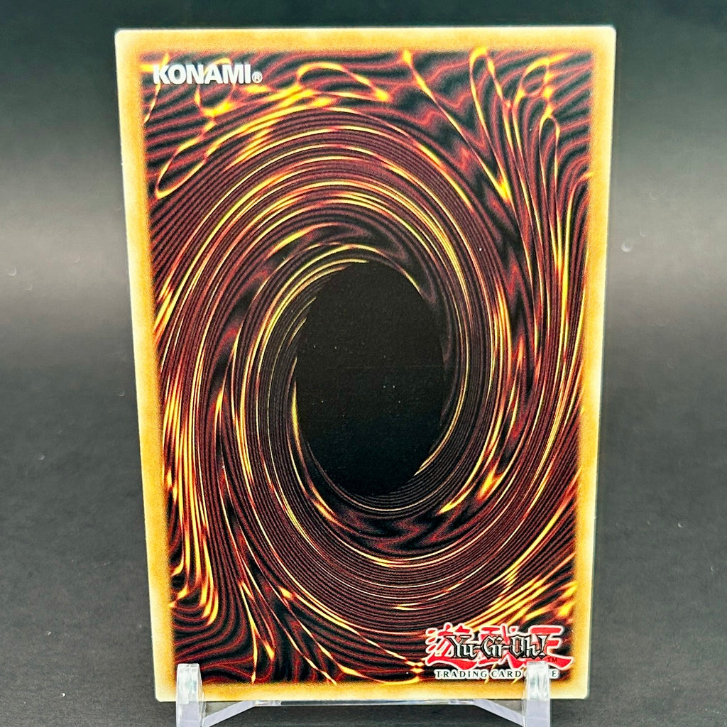 NM - Yu-Gi-Oh! - Little-Winguard DCR-013 - Dark Crisis